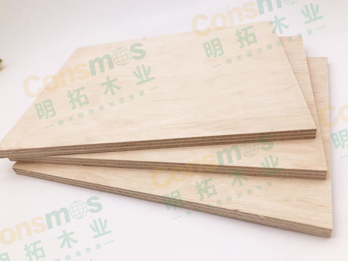 4-6mm玩具樺木膠合板